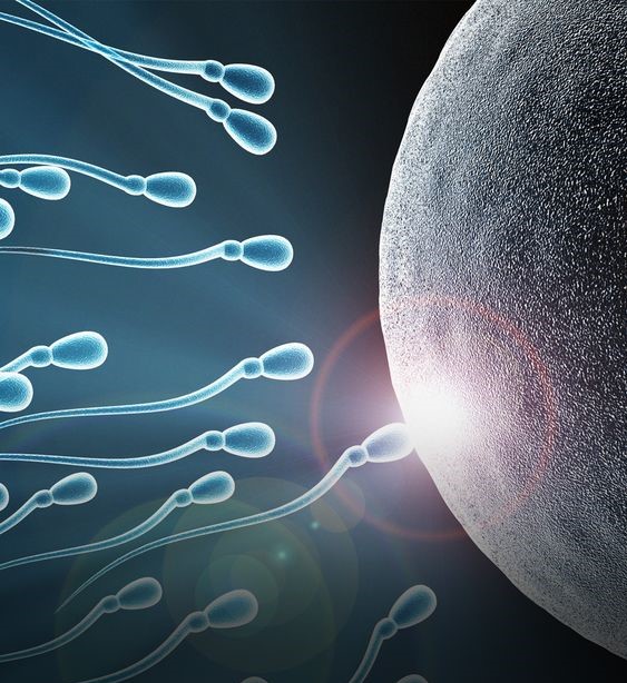 چگونه تحرک اسپرم را افزایش دهیم؟
