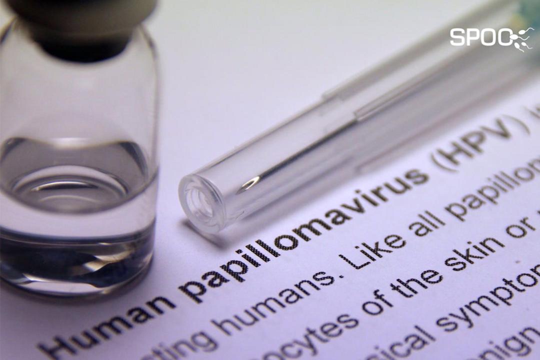 پاپیلوما ویروس انسانی و ناباروری مردان