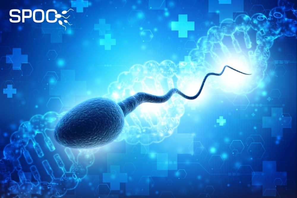 شکست DNA اسپرم و ناباروری در مردان
